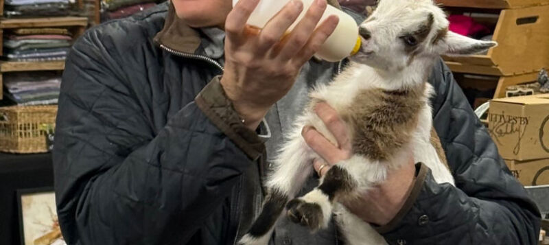 Image for the Tweet beginning: Tap the post to see