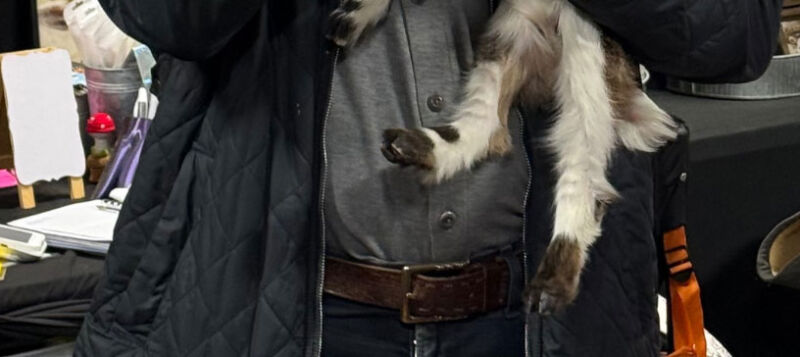 Image for the Tweet beginning: Tap the post to see